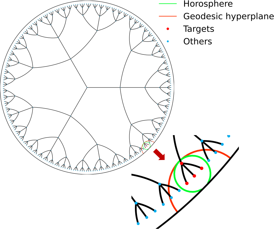 Horosphere and geodesic hyperplane decision boundaries
